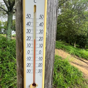 20℃超えてるけど
風があって気持ちいい😄