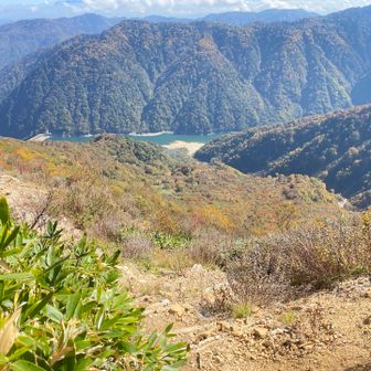湖が見える。水面がコバルトブルー
