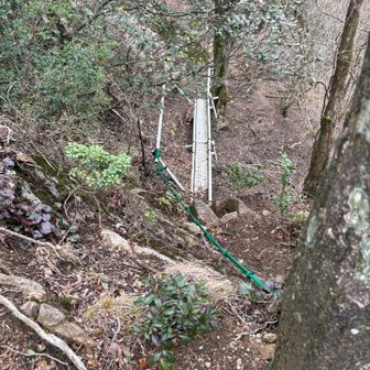 👀怖そうな橋⁉️