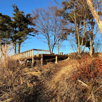 写真で見てたwood deckあった〜！