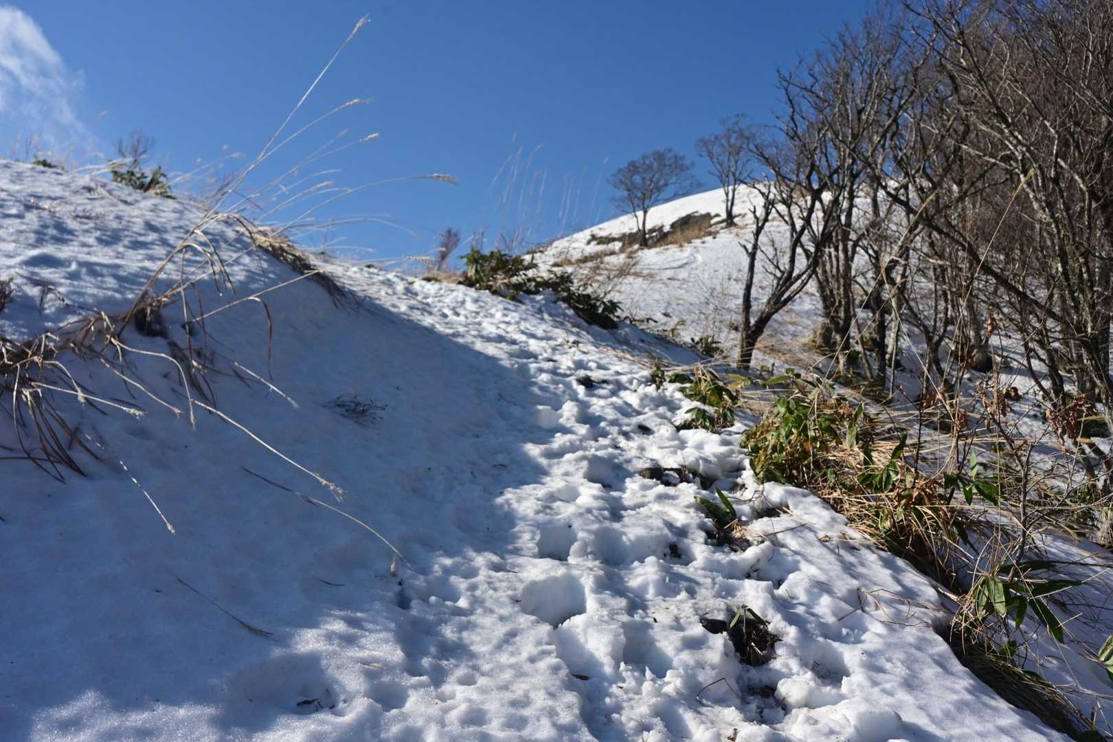 この辺から雪があるが、シャーベットで歩きづらい