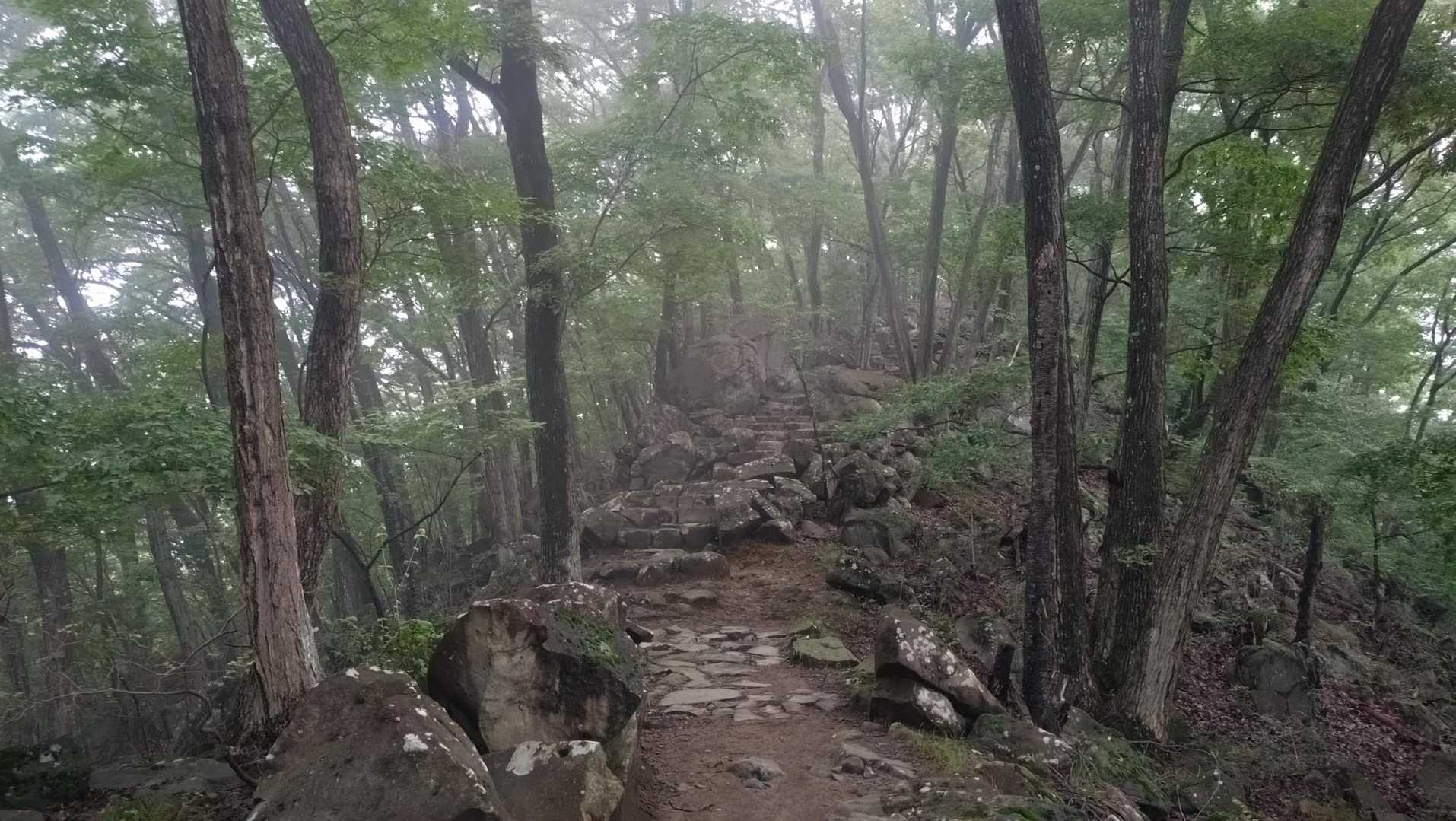 法泉寺山辺りからガスってきました☁