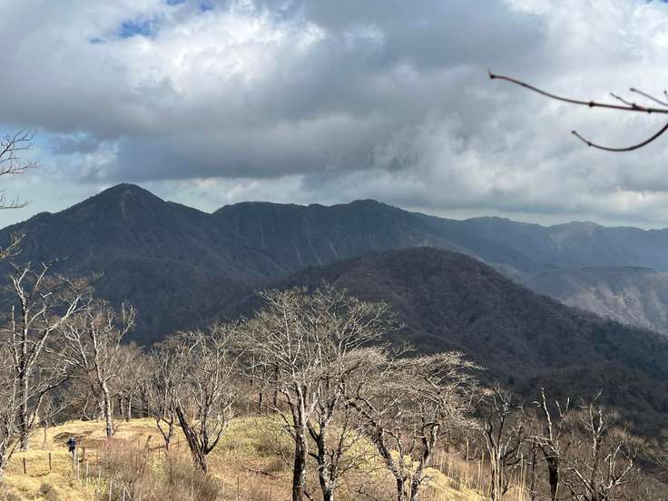 金山谷ノ頭（神奈川） | YAMAP / ヤマップ