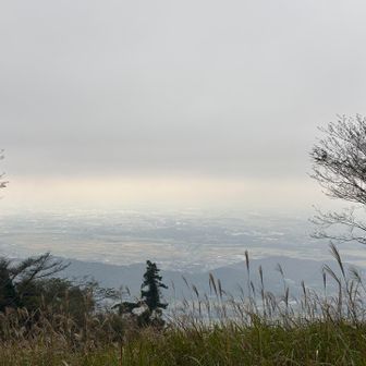 やっとぼんやり景色が見えるように😊