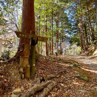 林道に合流！東近江トレイルも半分ぐらい来たかな！