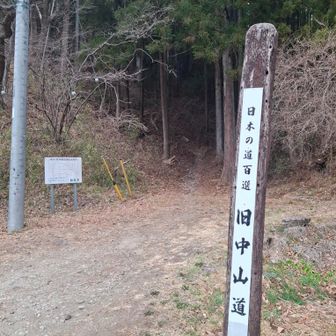 次回は🍁紅葉時期に合わせて、旧中山も道歩いてみたいねー