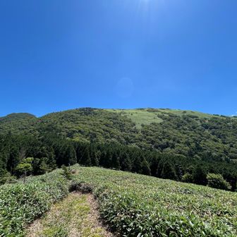 暑くなってきましたが、最高な見晴らしです。