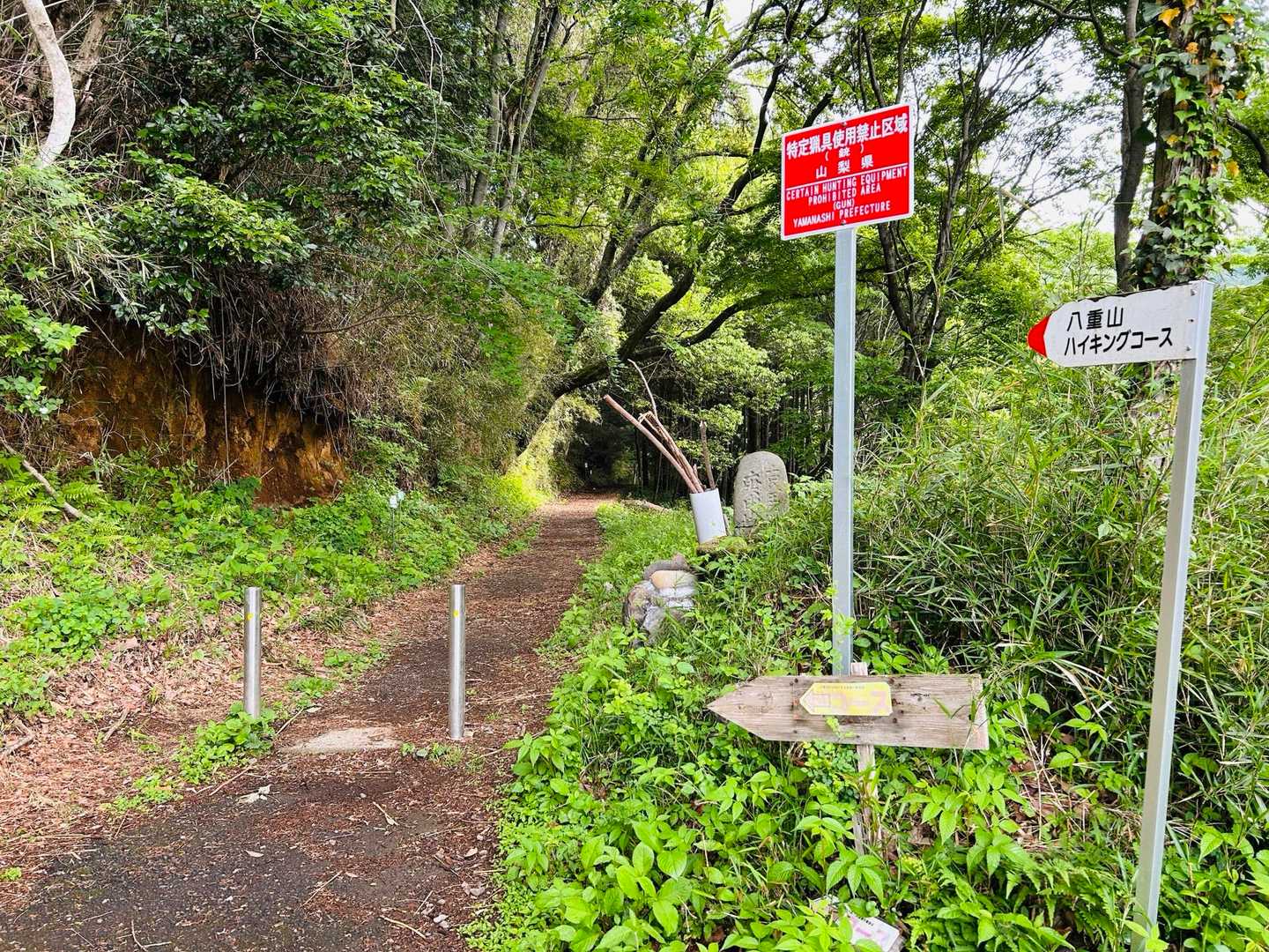 藤野駅-藤野総合事務所前バス停-鷹取山登山口-岩戸山-小渕 縦走コースの写真