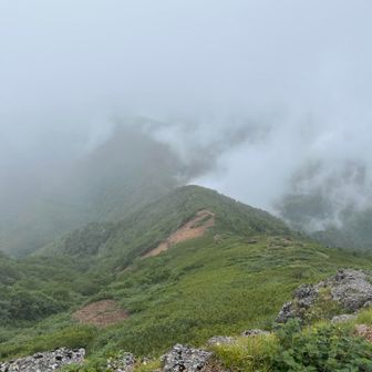 御小屋尾根を見下ろします。阿弥陀岳に直登する長大な尾根です。