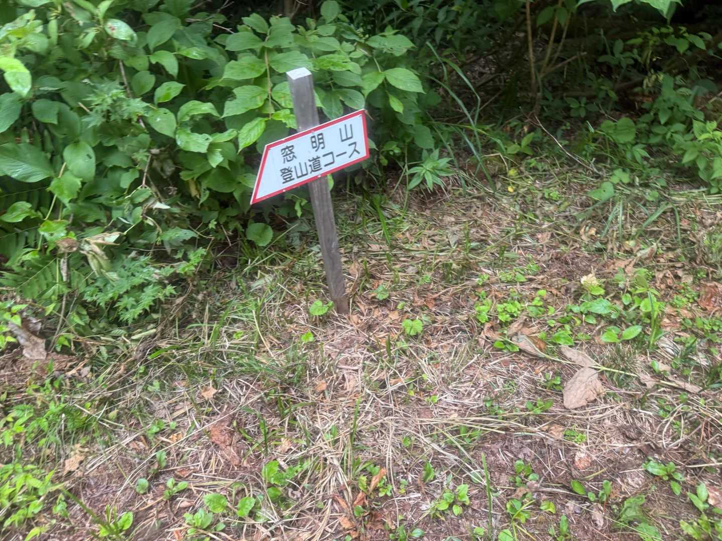 充電📱がほぼない😭