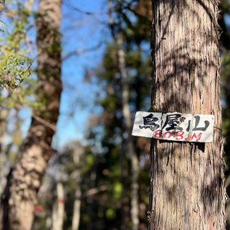 小さいピークがたくさんあります