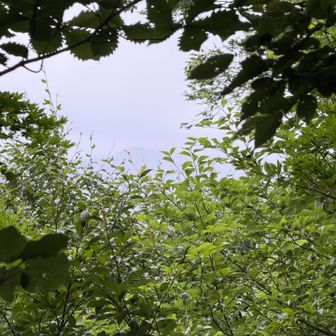蒜山三座…辛うじて上蒜山が薄ら🫥