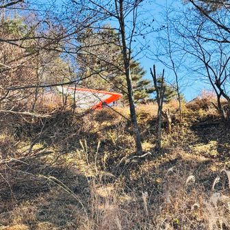 ハングライダーの発射場ありました