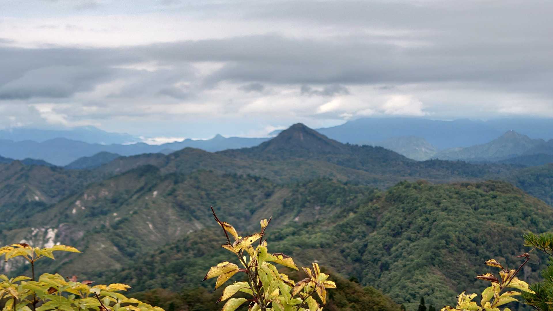 土埋山