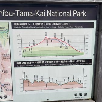 今回はまさにの下の縦断図