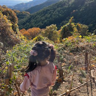 ヤッホー❣️
この後、
疲れた、抱っこ〜！(◎_◎;)
仕方なく、おんぶして…