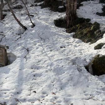 笠新道登山口
誰かのトレース有るかなぁ？？
さすがに居ないかな？？