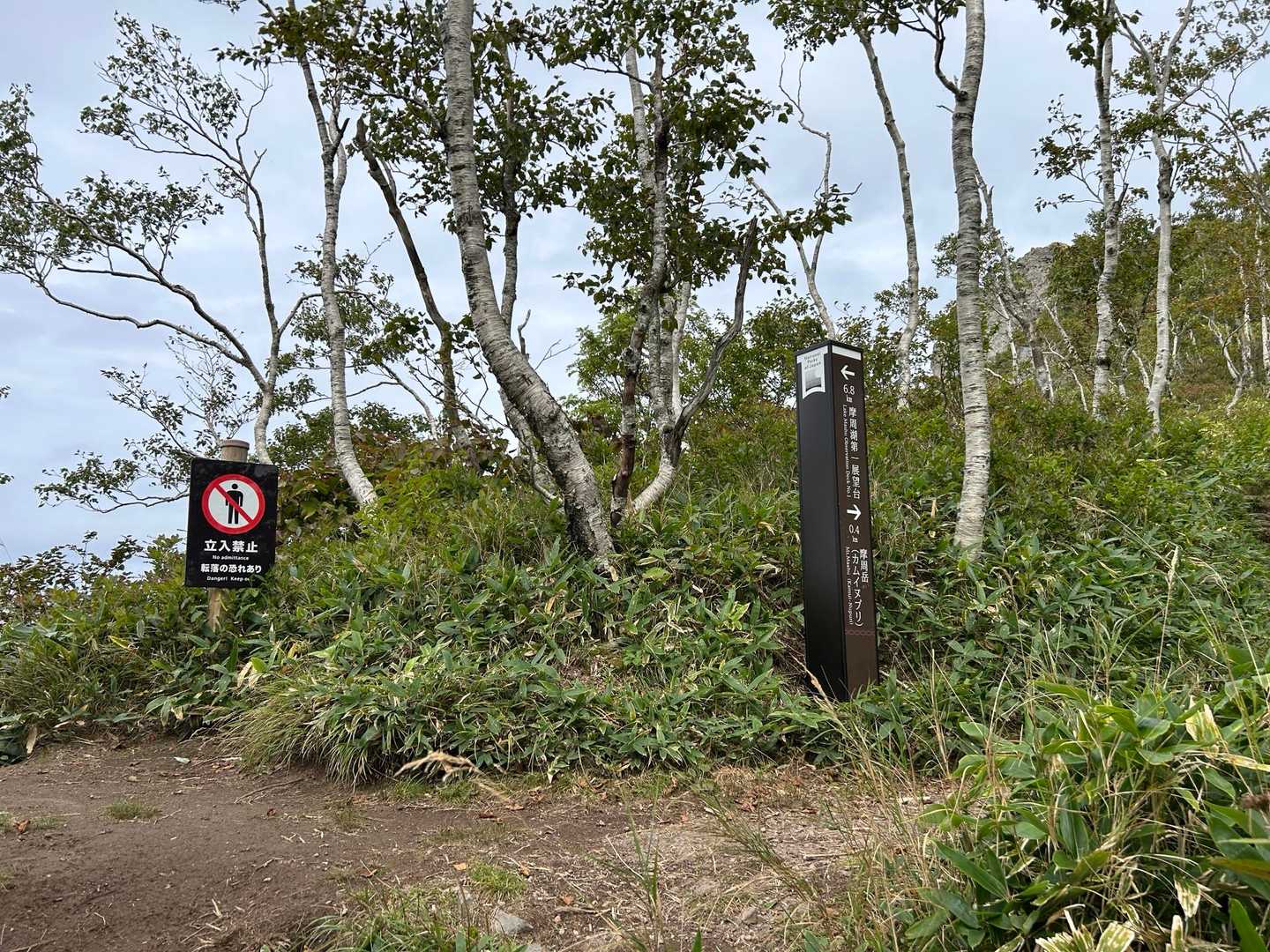このお山のクライマックスはここから