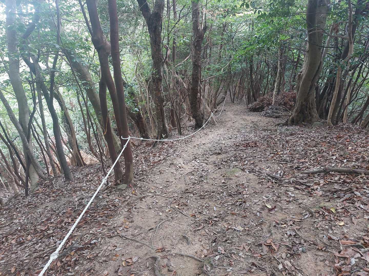 ロープ場②