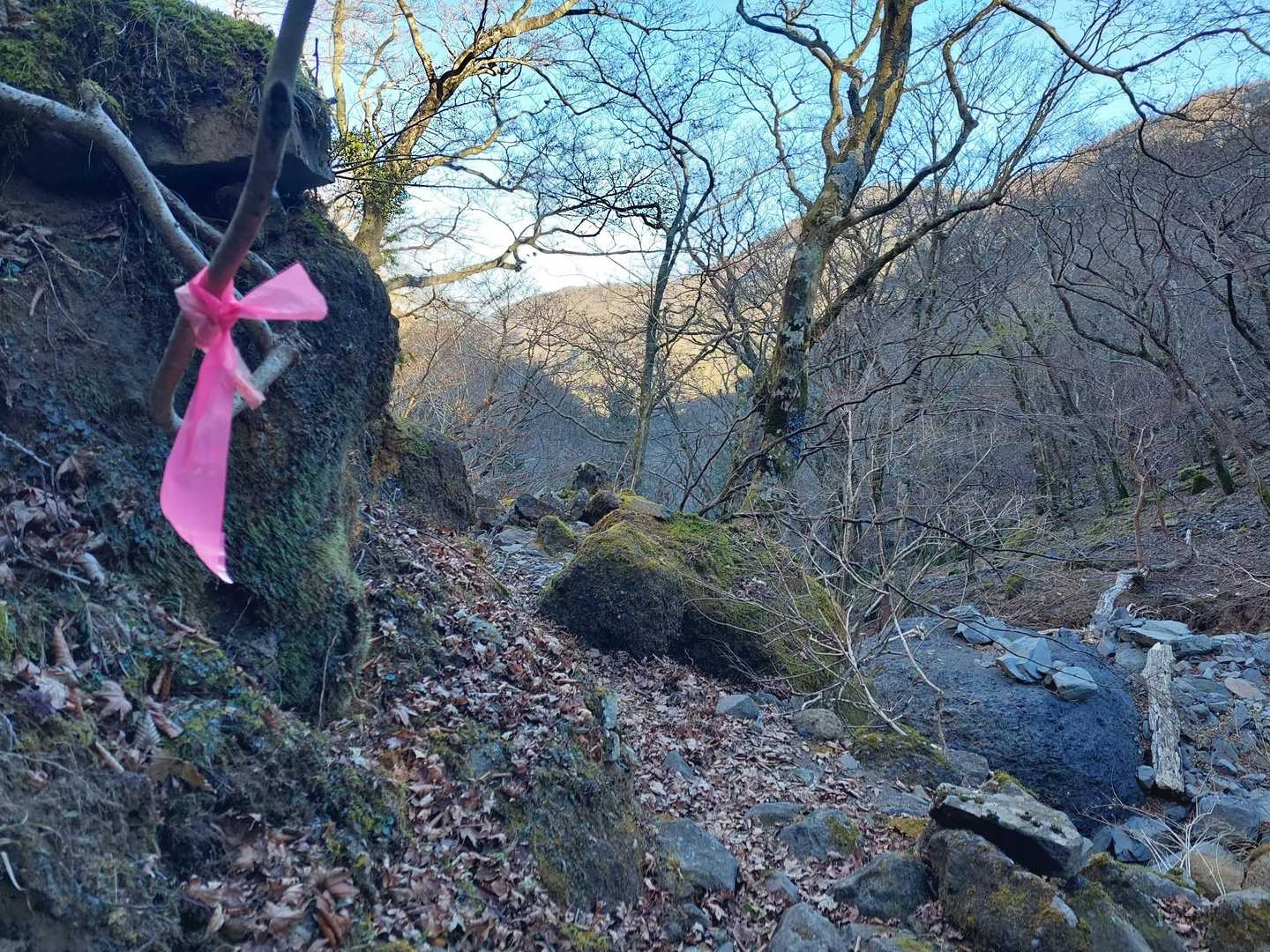 ガレガレ外れたけどルート分かりにくい。
でもピンテ見付けながら進めば大丈夫でした