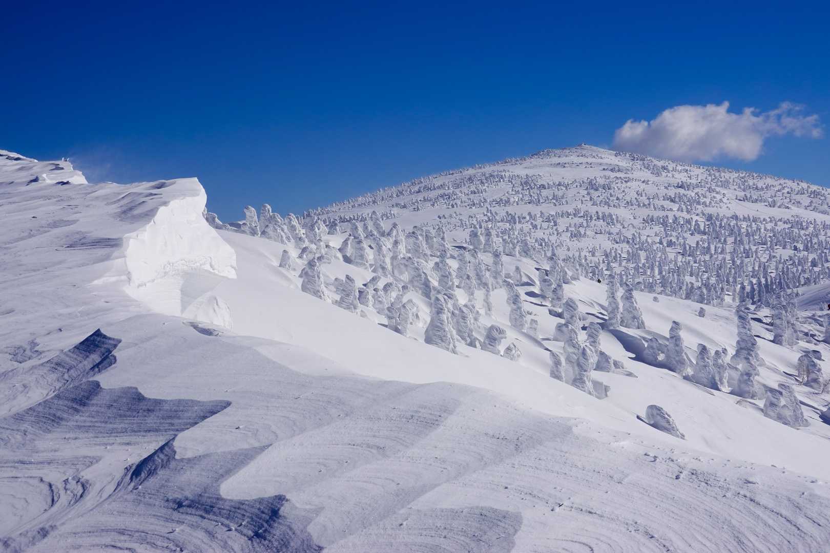 ゴンドラで手軽に天空の花畑へ。360度の絶景が迎える森吉山を往復の写真