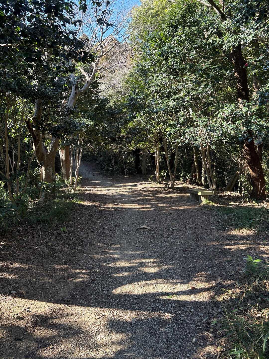 金子丸にとうちゃく👍
尾根をひな壇状にして敵の侵入を防ぐ工夫がされています