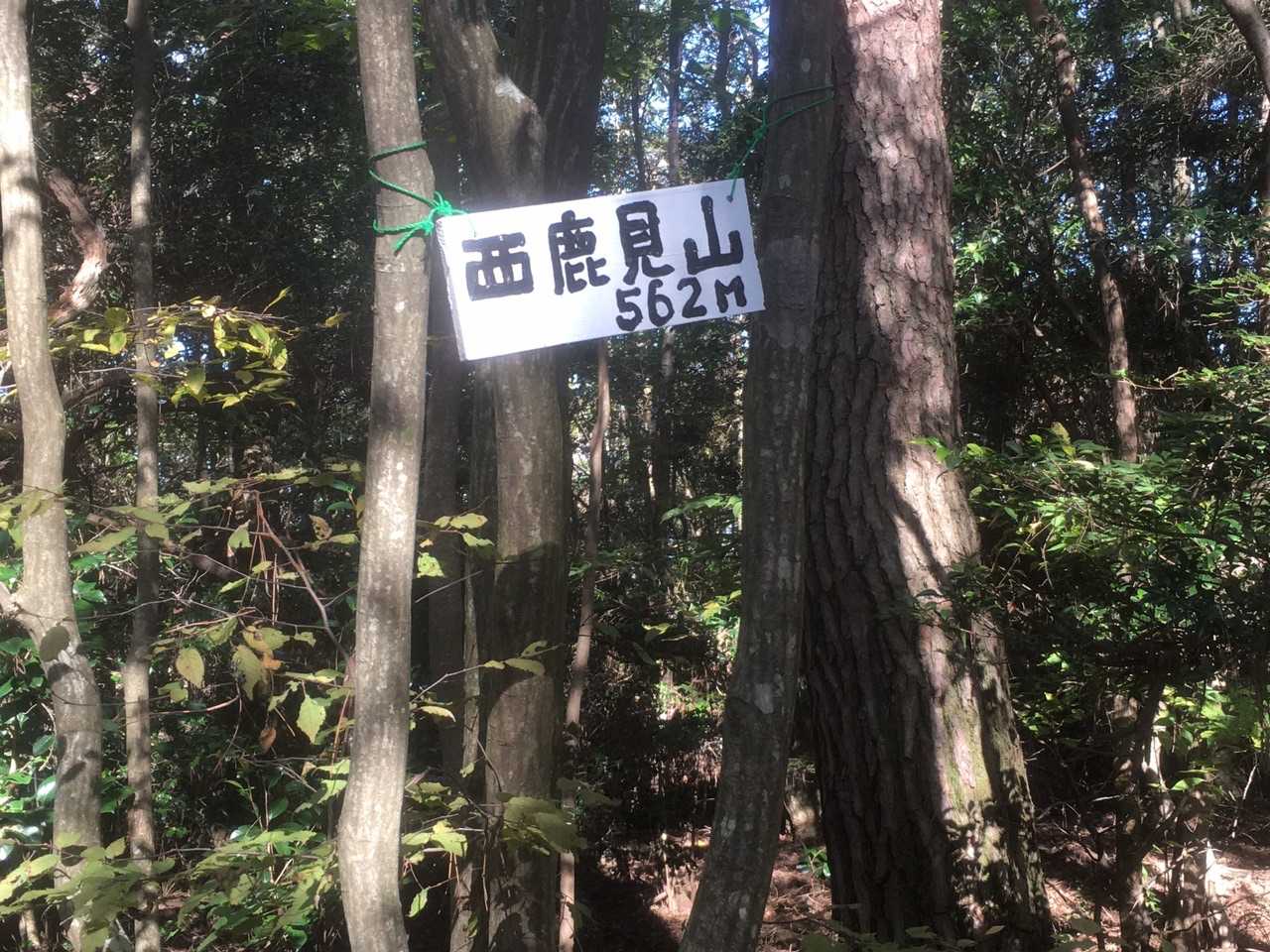 軽い藪を抜けて西鹿見山🚩😆