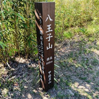 八王子山(白山)到着です!
(標高600m)
最近整備された山頂標のよう