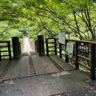 紅葉時にパンフに載る吊り橋、紅葉時🍁は見事です