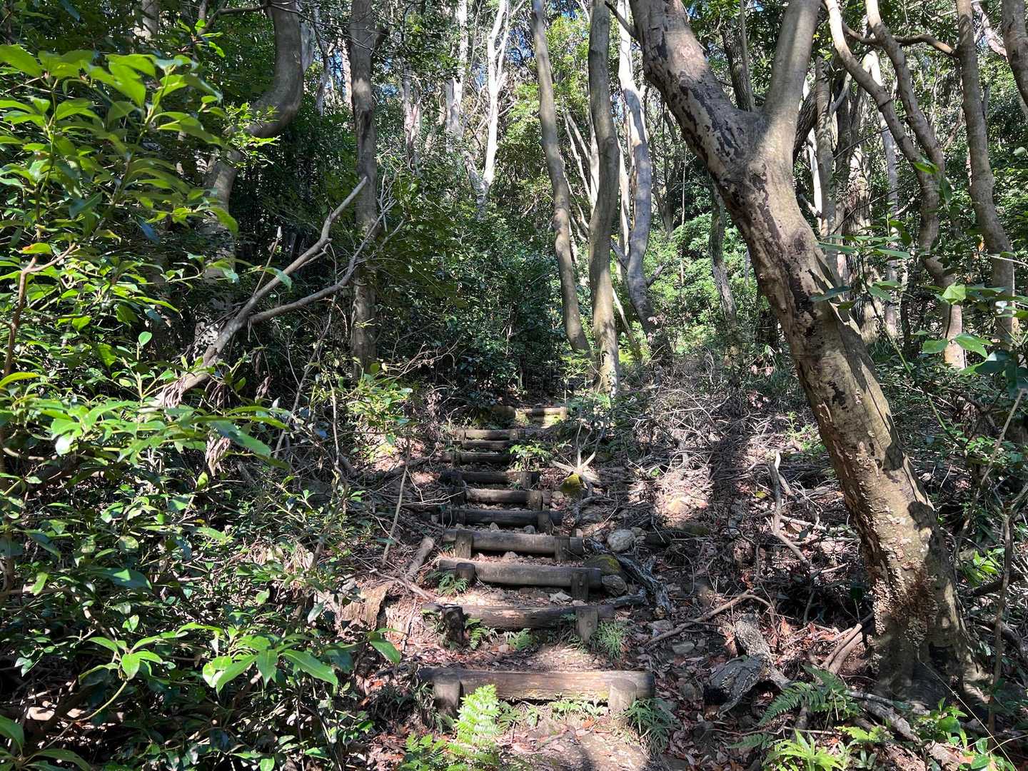 とりあえずピークを取りに⛰️
意外にキュート🩷