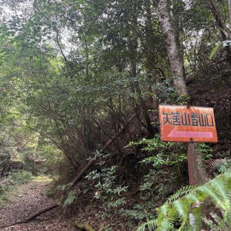 矢筈岳登山口⬅️