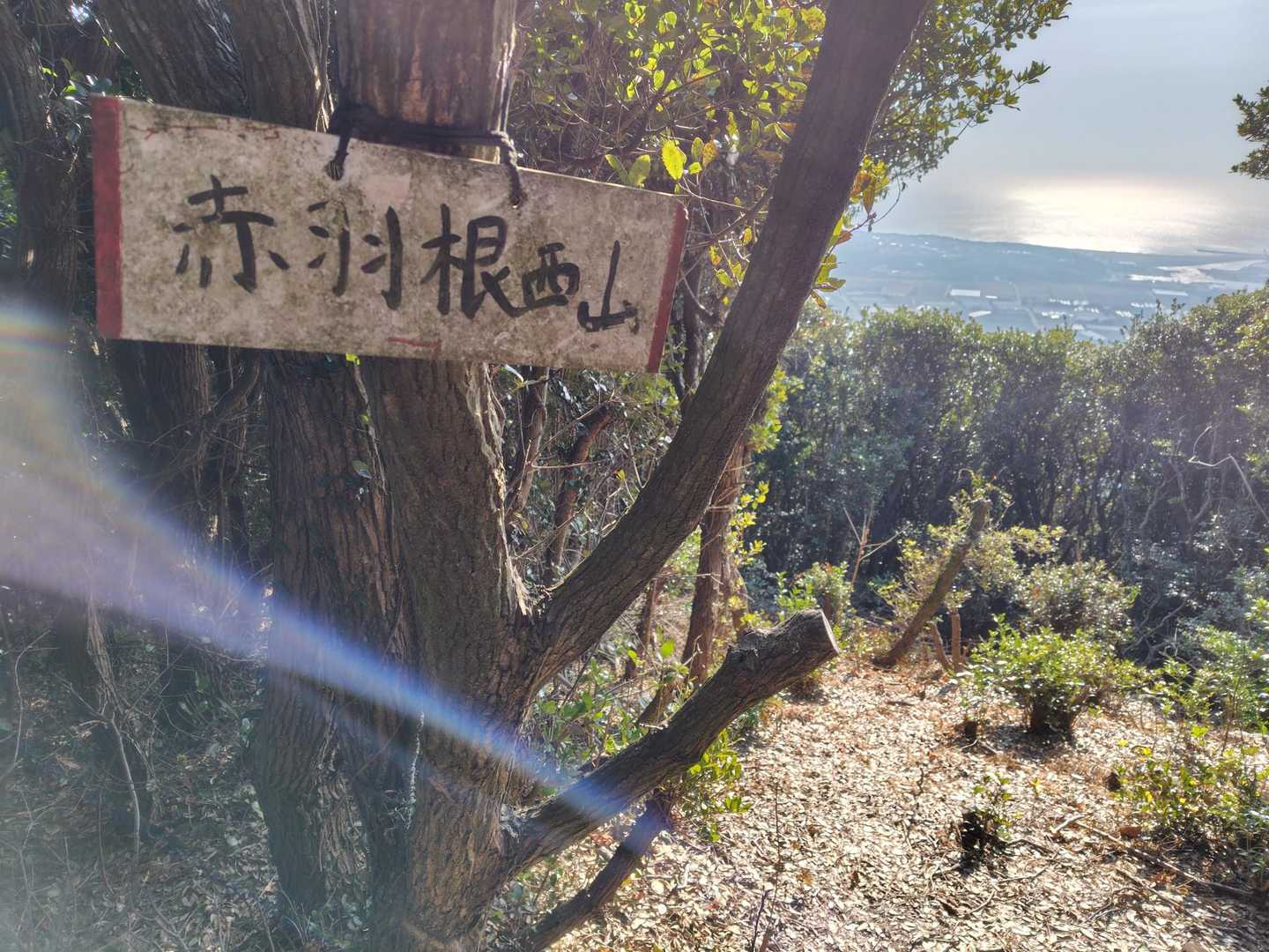 山頂標識(^o^)