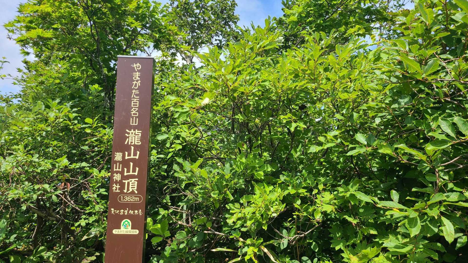瀧山 往復コースの写真