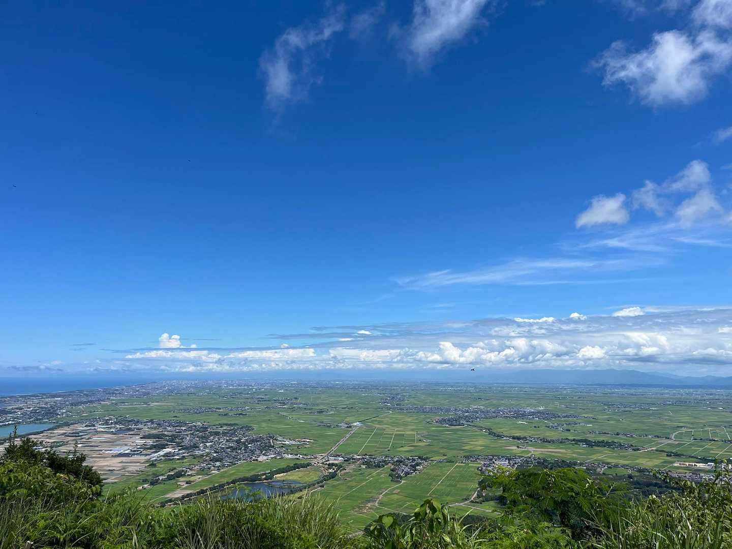 山頂✨✨✨
青空映えて綺麗🤩
