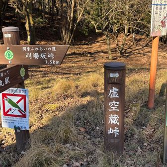 虚空蔵峠（こくぞうとうげ）
名前がカッコいいから来てみたかった……けど、特に何も無い道路沿いの峠だった😑