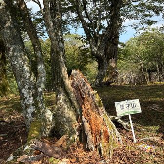 名残惜しいけど、戻ります。
