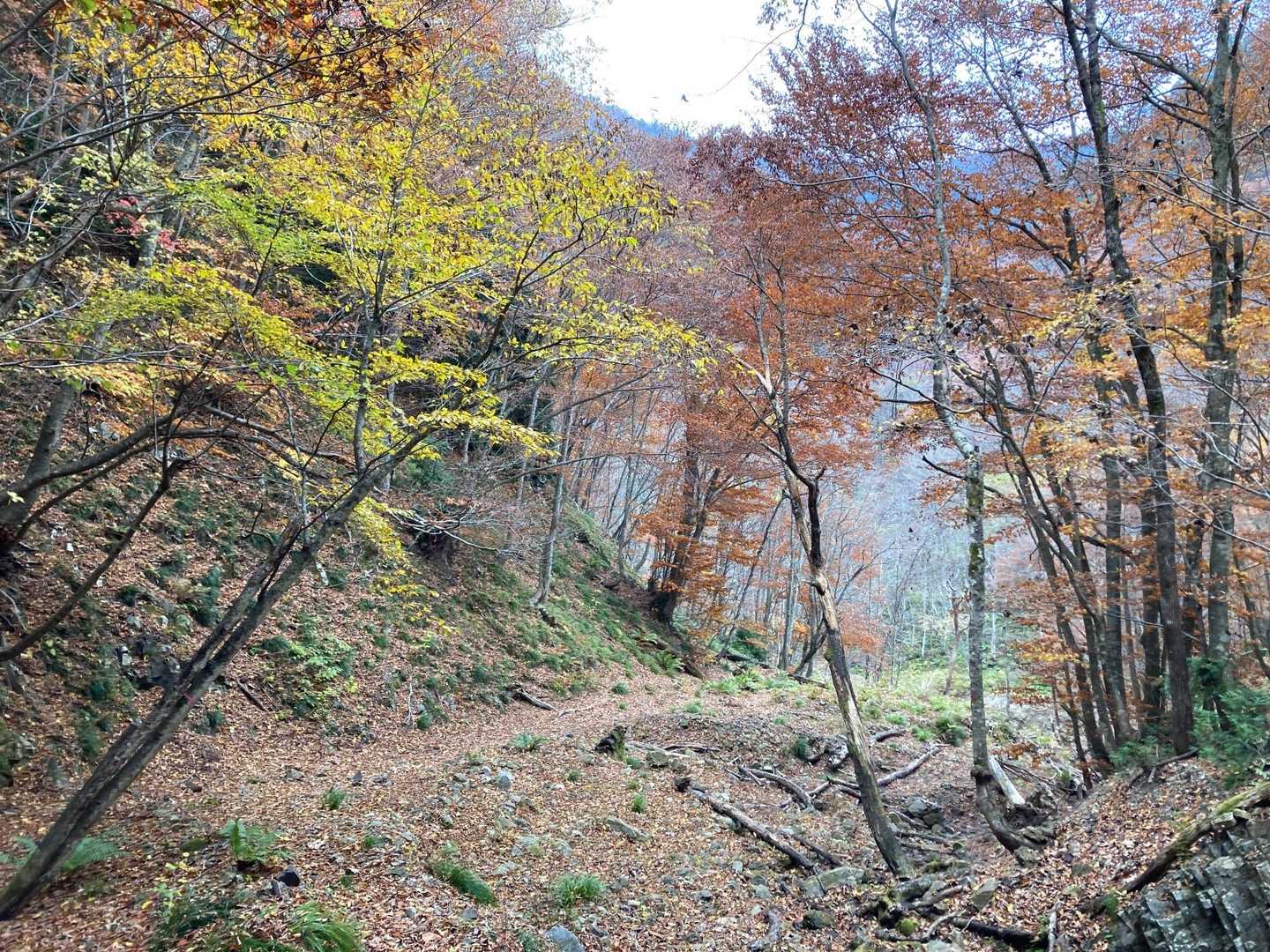 荒海山 往復コースの写真
