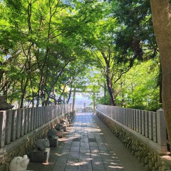 保久良神社の参道…左側には干支の石像が並ぶ