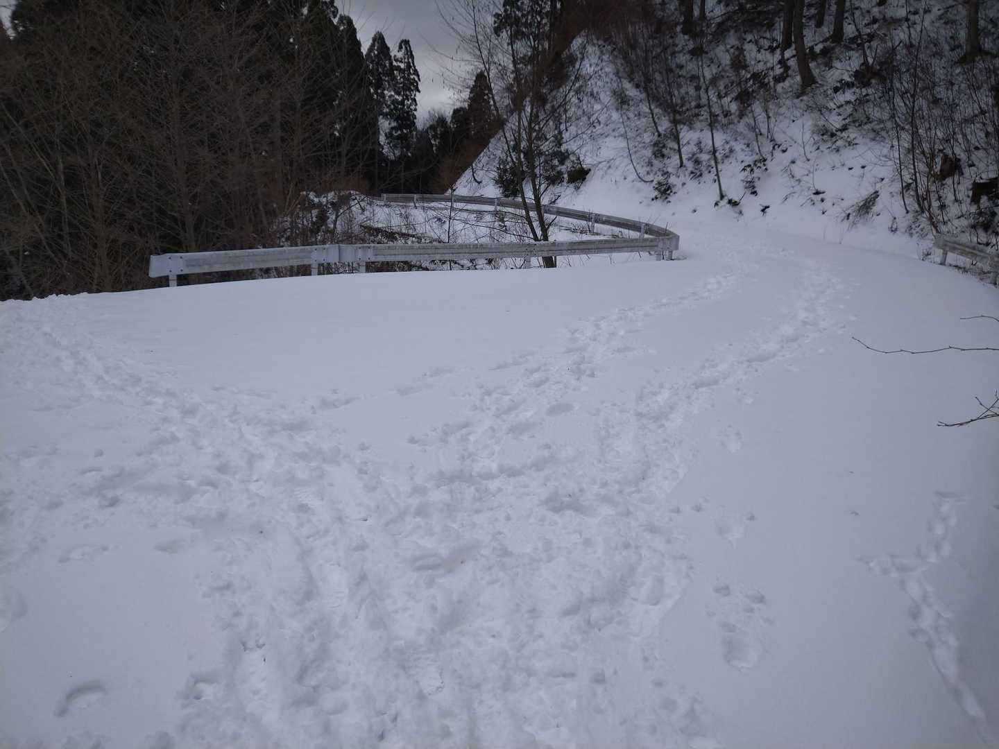 林道出会いからは、結構な雪☃