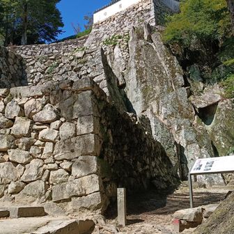 大手門跡　自然の岩を石垣に組み込んでます