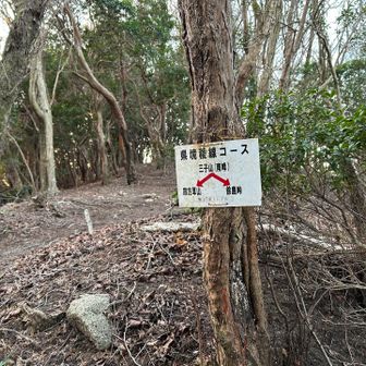 樹林帯を進み、急登を経て三子山南峰(3峰)に到着です😊
山名板がなく(この案内に名前はありますが)、お2人はここがピークだと気づいていませんでした(そして私は、気づいていないということに気づけていませんでした😅)
帰宅後、山名板は縦走路から少し外れたところにあるという事を知りました💦