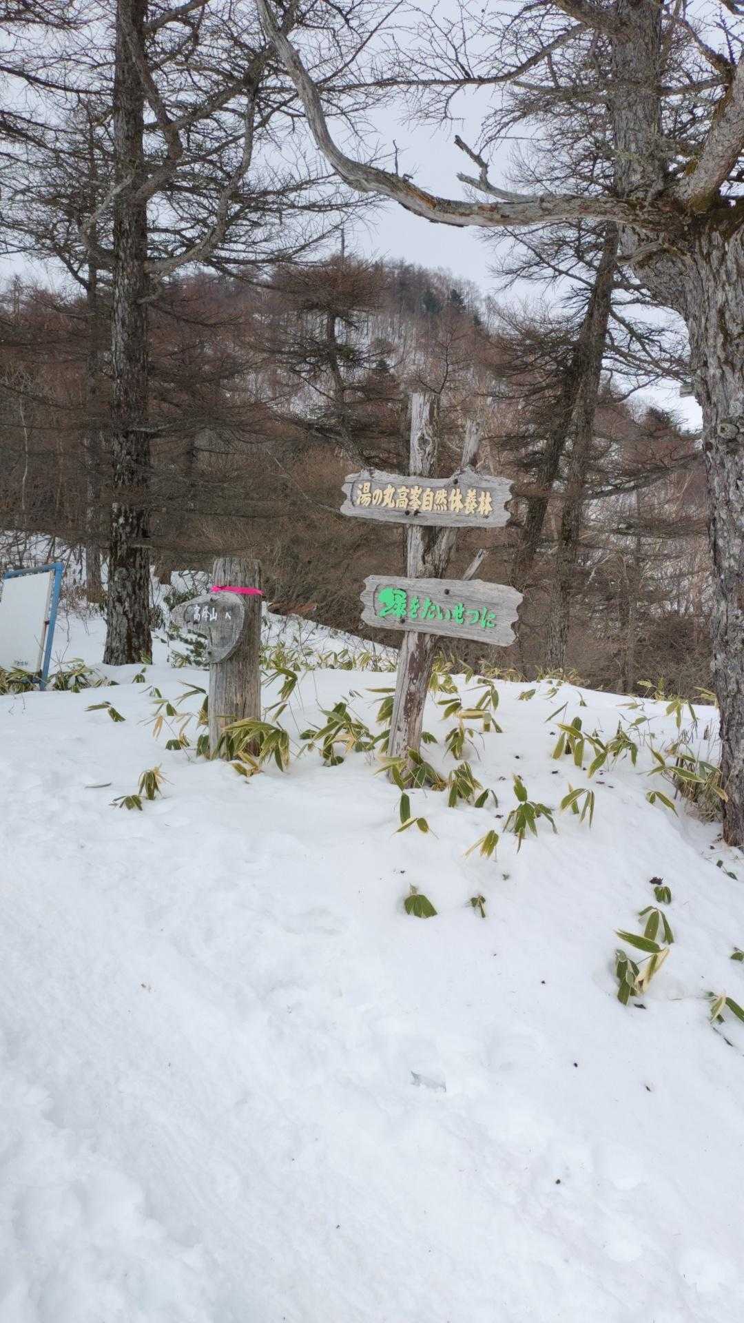登山口