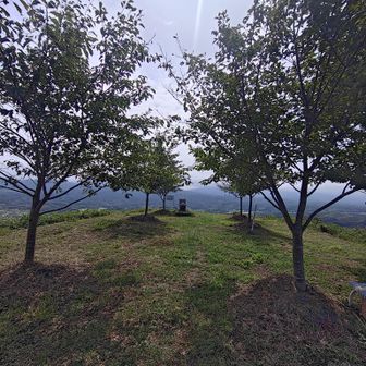 貸切で
ワンオペ城主状態