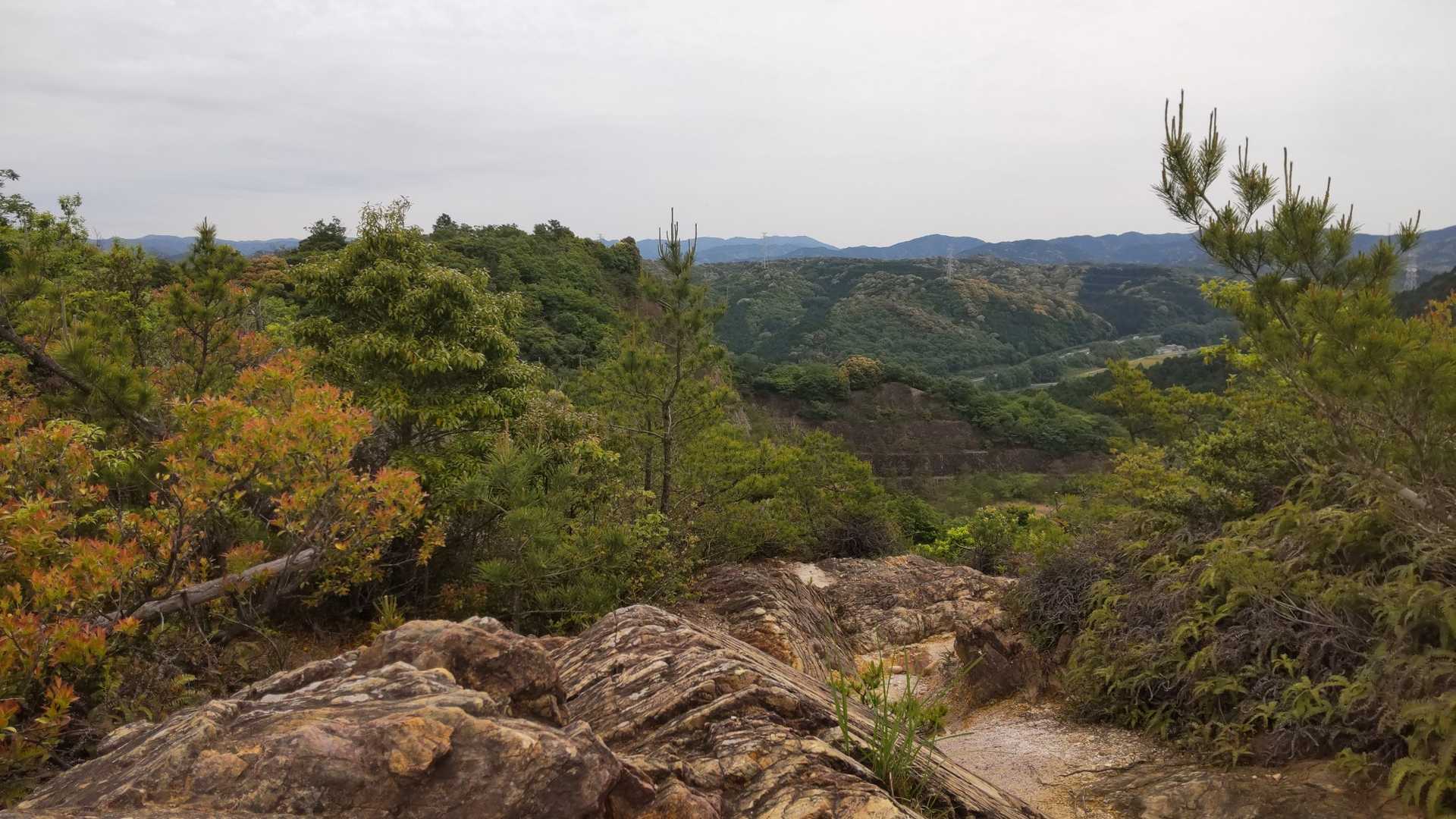 眼下に東名高速道路と
正面本宮山⛰️