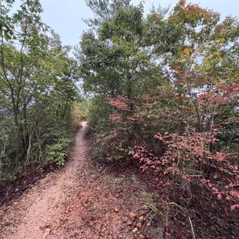 夏が9か月ある各務原にも秋の気配🍂