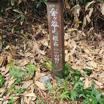 調べたら以前はかれこれ17年前でした😅
展望は木に囲まれてなし