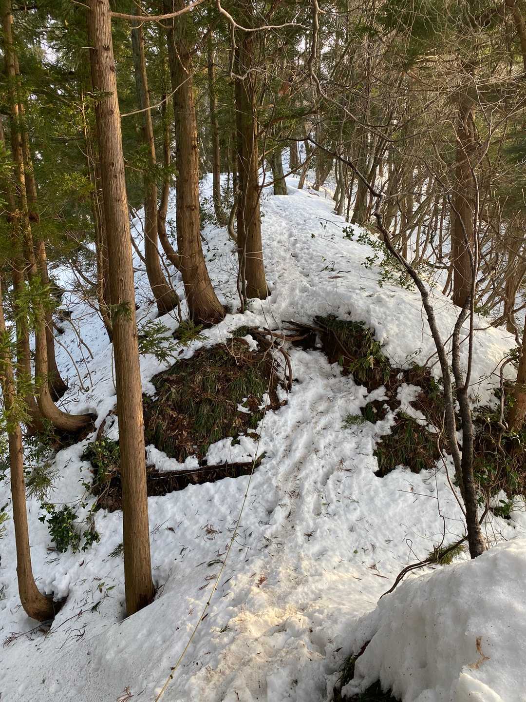 前回に比べて天候が良いとこれだけ楽なのかー❗️💦と少し思う。