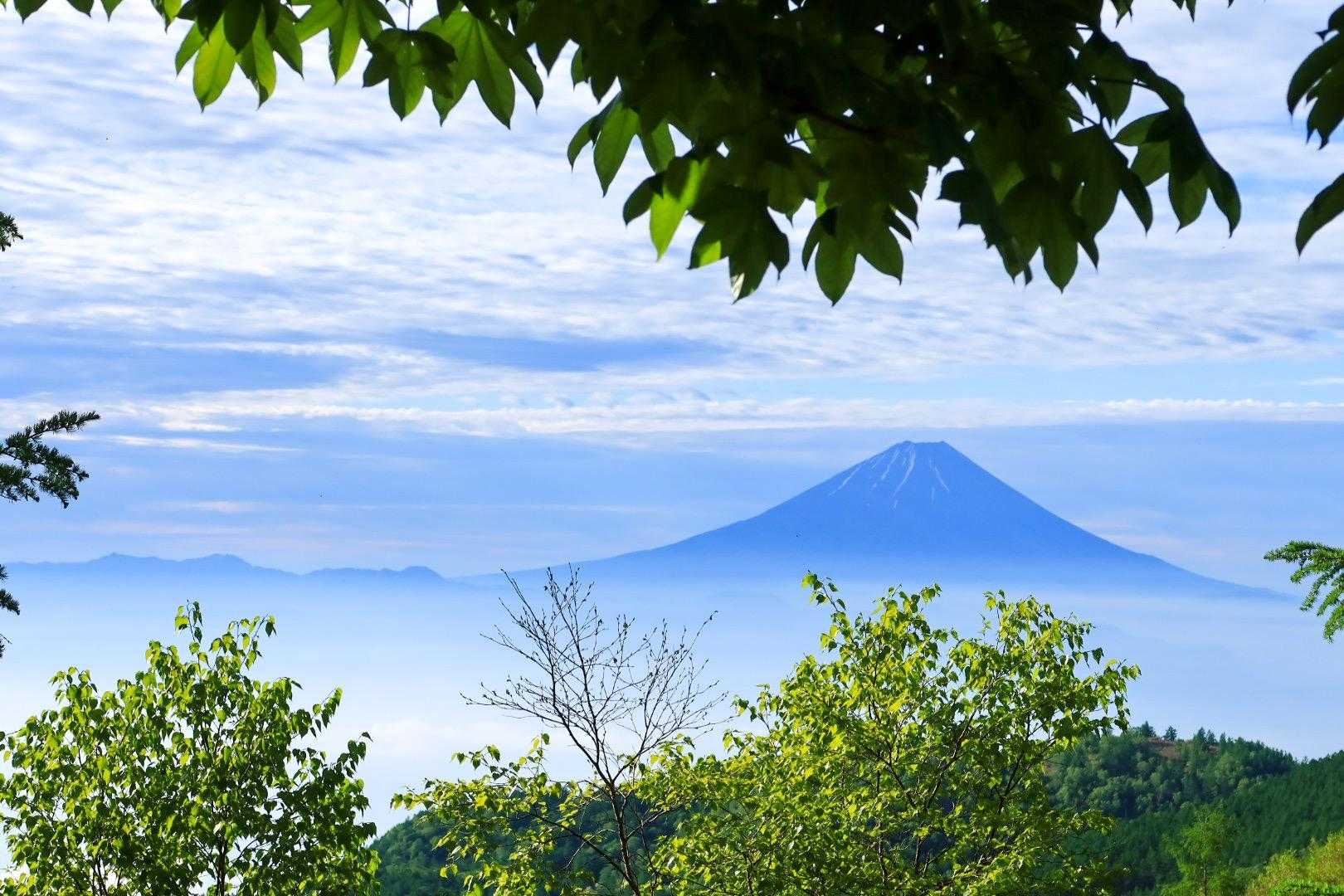 木々の隙間から、今度は富士山ミエール