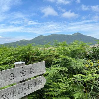 お向かいの田代山は晴れてます