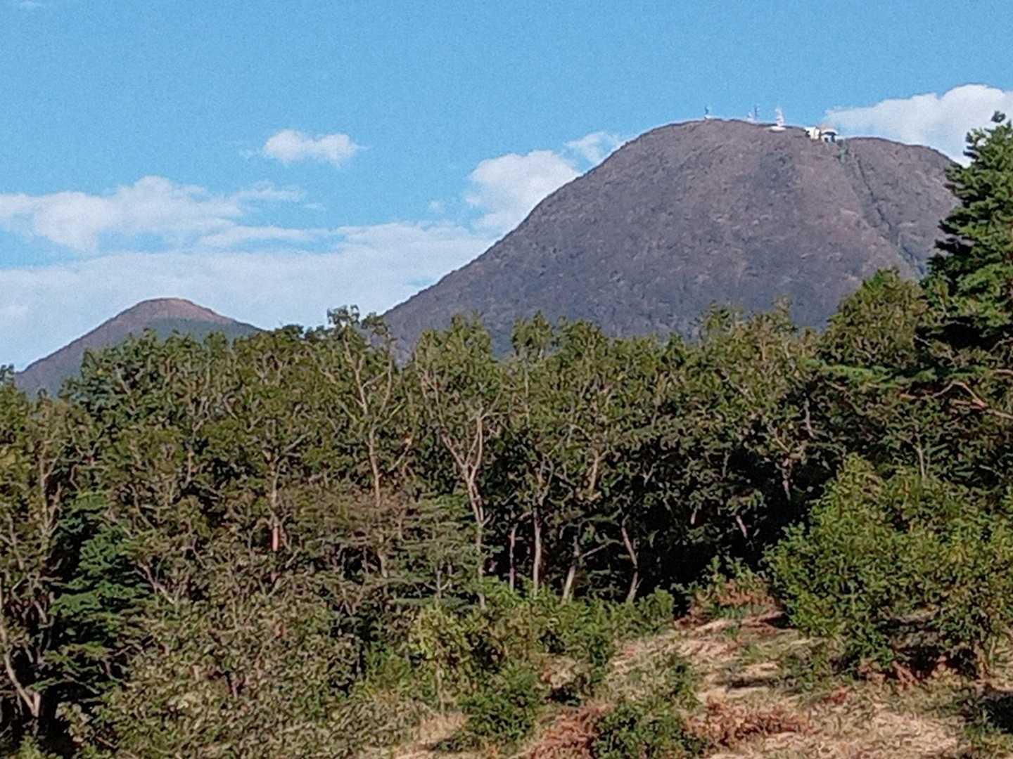 鶴見岳も近くに見える